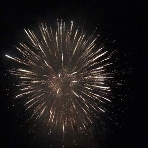 Meet your Posher, Maya